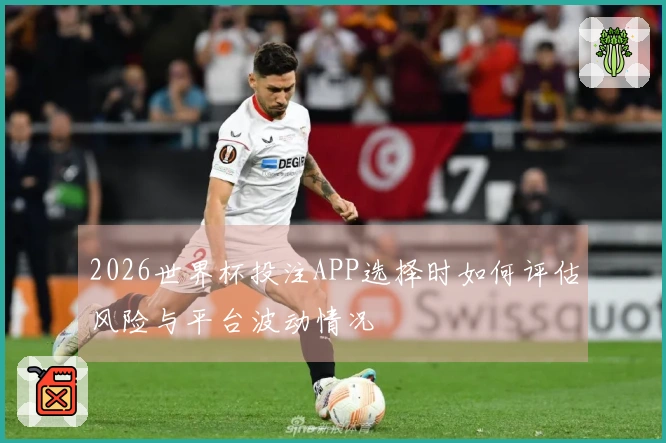 2026世界杯投注APP选择时如何评估风险与平台波动情况