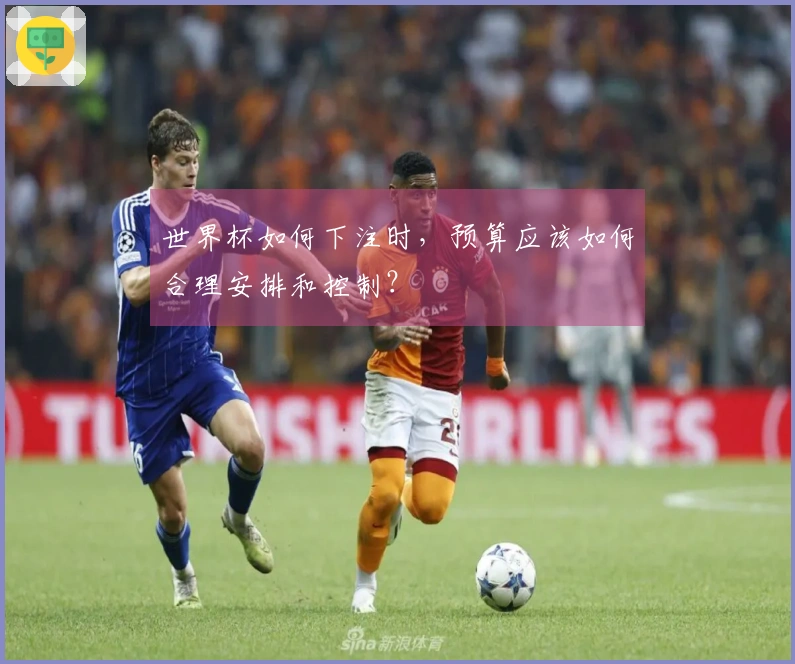 世界杯如何下注时，预算应该如何合理安排和控制？