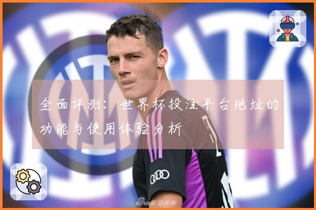 全面评测：世界杯投注平台地址的功能与使用体验分析