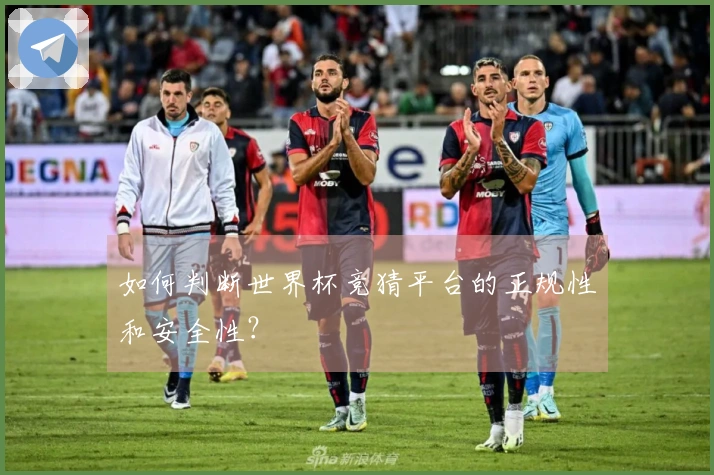 如何判断世界杯竞猜平台的正规性和安全性？