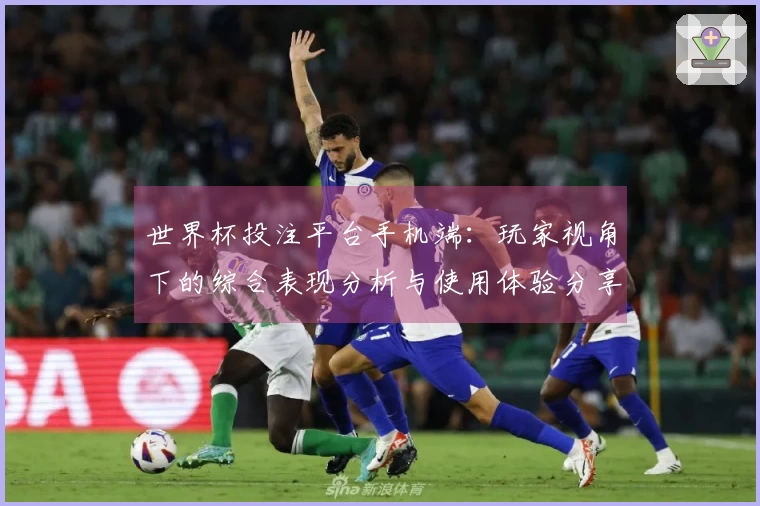 世界杯投注平台手机端：玩家视角下的综合表现分析与使用体验分享