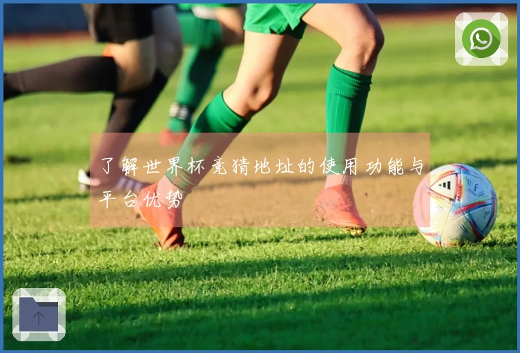 了解世界杯竞猜地址的使用功能与平台优势