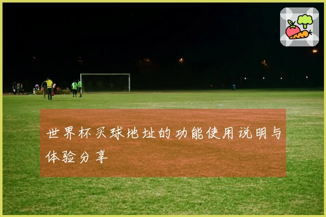 世界杯买球地址的功能使用说明与体验分享