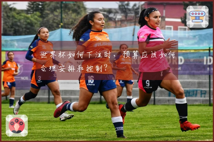 世界杯如何下注时，预算应该如何合理安排和控制？