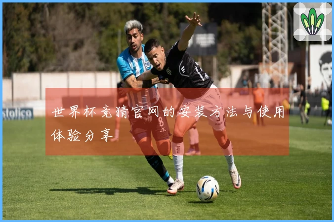 世界杯竞猜官网的安装方法与使用体验分享