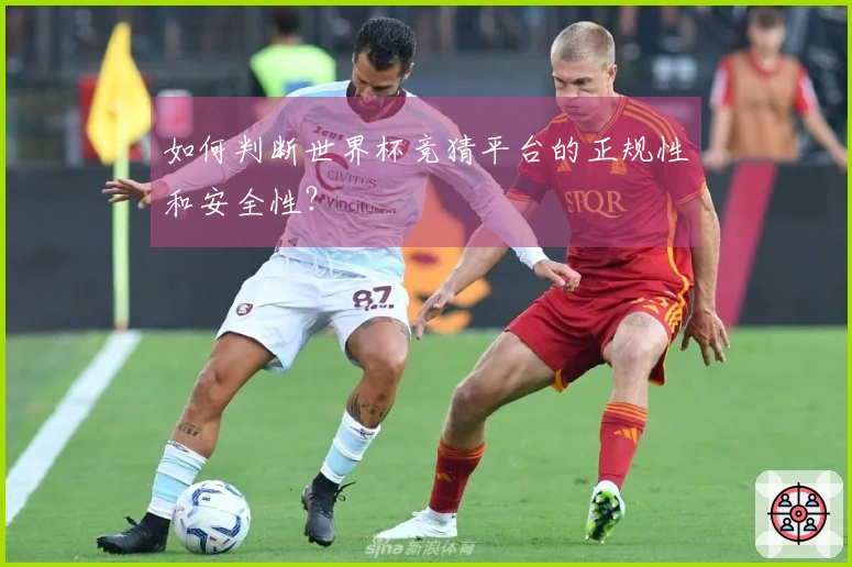 如何判断世界杯竞猜平台的正规性和安全性?