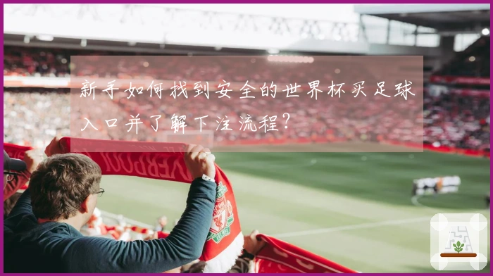 新手如何找到安全的世界杯买足球入口并了解下注流程？