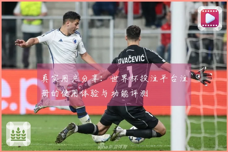 真实用户分享：世界杯投注平台注册的使用体验与功能评测