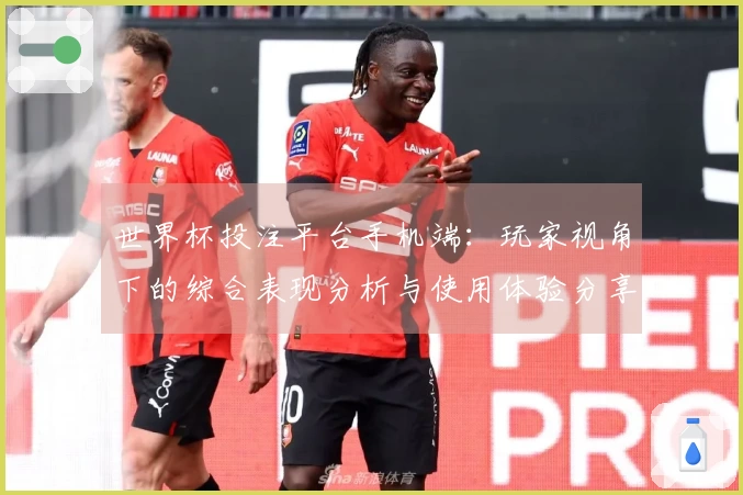 世界杯投注平台手机端：玩家视角下的综合表现分析与使用体验分享