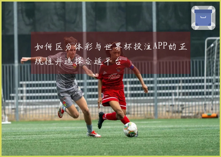如何区分体彩与世界杯投注APP的正规性并选择合适平台