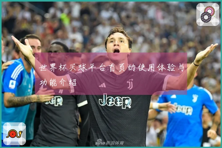 世界杯买球平台首页的使用体验与功能介绍
