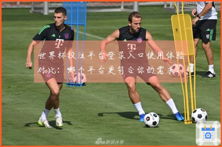 世界杯投注平台登录入口使用体验对比：哪个平台更符合你的需求？