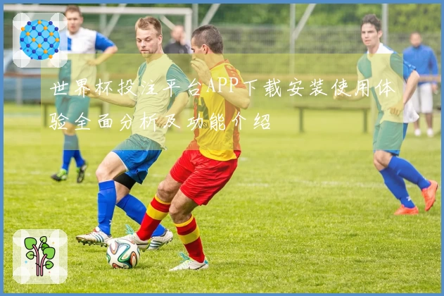 世界杯投注平台APP下载安装使用体验全面分析及功能介绍