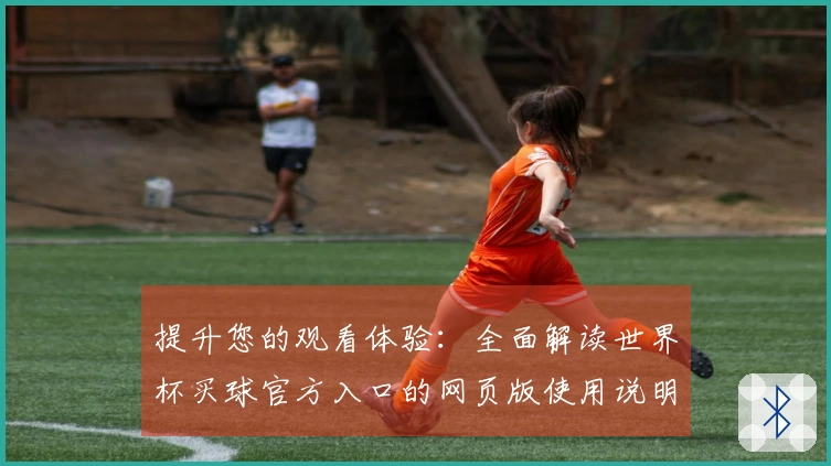 提升您的观看体验：全面解读世界杯买球官方入口的网页版使用说明