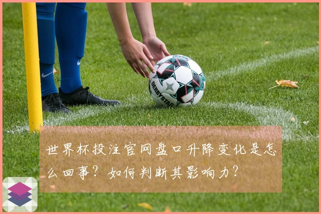 世界杯投注官网盘口升降变化是怎么回事?如何判断其影响力?